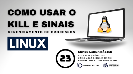 Como utilizar o kill e sinais no gerenciamento de processos Linux