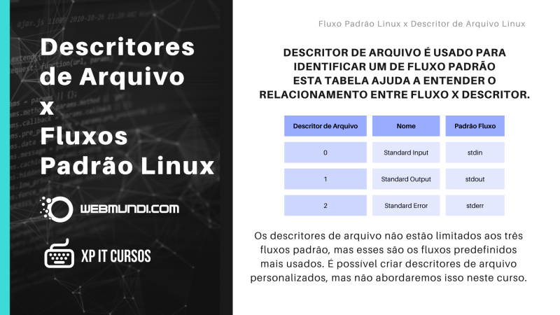 Descritores de Arquivo x Fluxos Padrão Linux