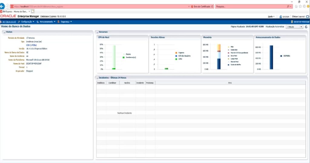 Tela do Oracle Enterprise Manager, após login