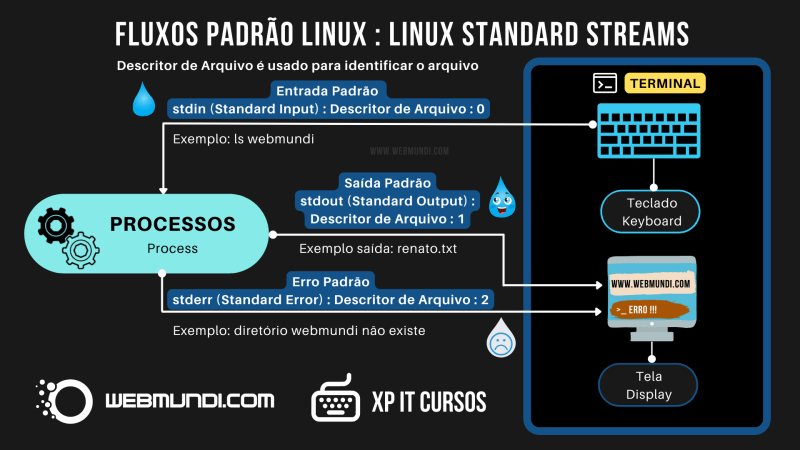 O que são Standard Streams ou Fluxos Padrão Linux ?