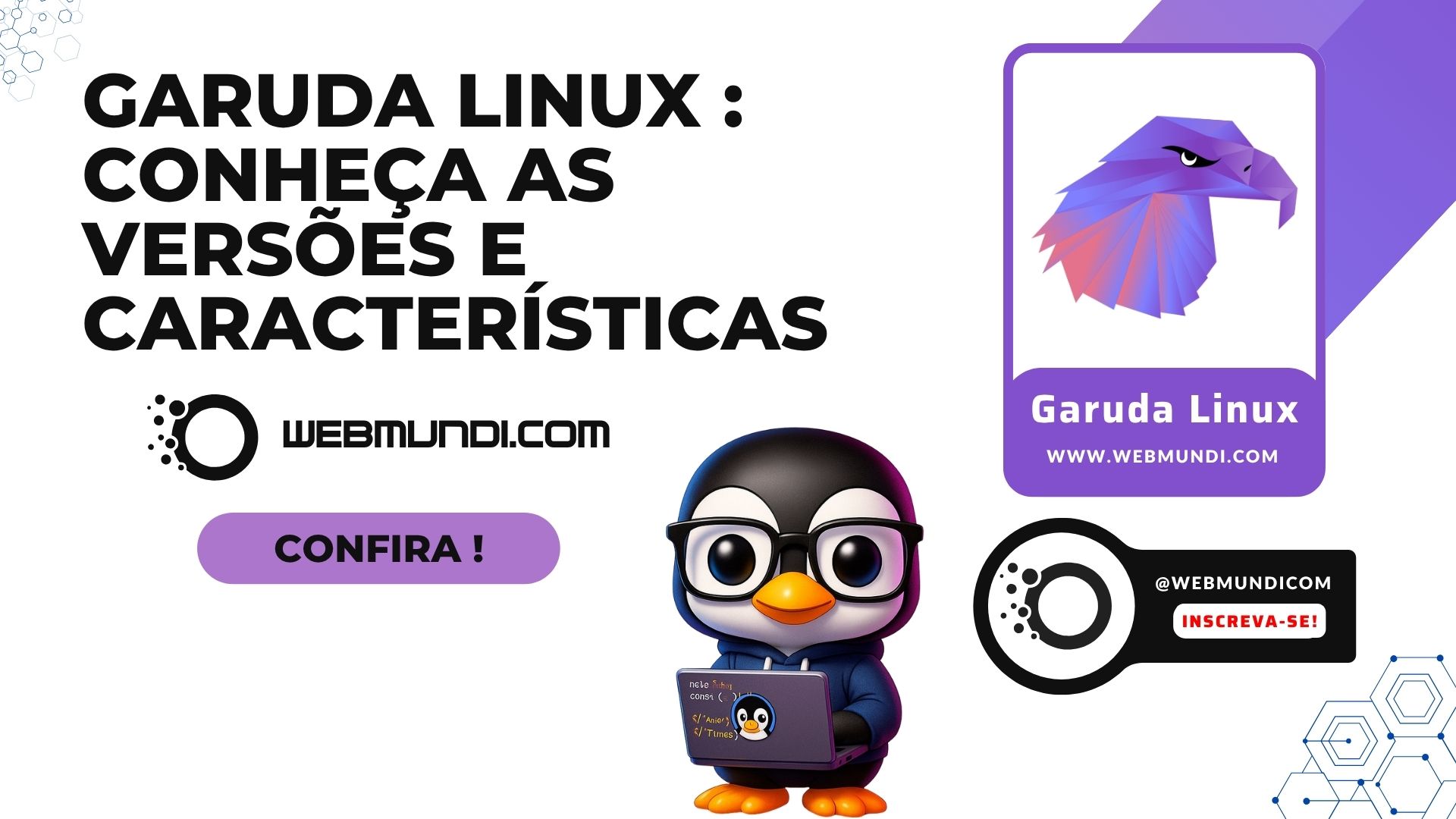 Garuda Linux : Conheça as versões e suas características