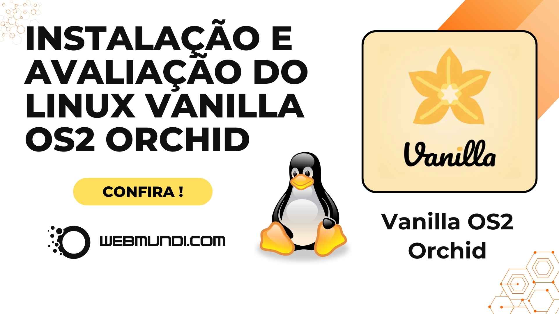 Instalação e Avaliação do Linux Vanilla OS2 Orchid