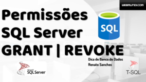 Permissões : GRANT / REVOKE : SQL Server : Controle de Acesso aos Dados